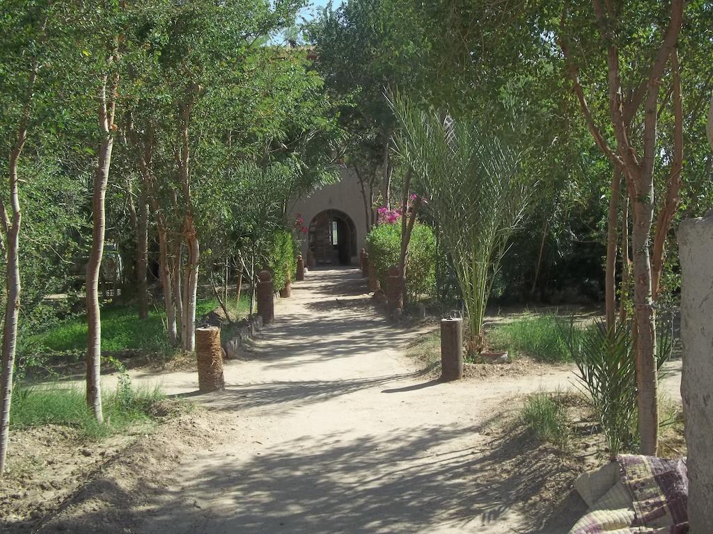 Nour El Balad Hotel Луксор Екстериор снимка